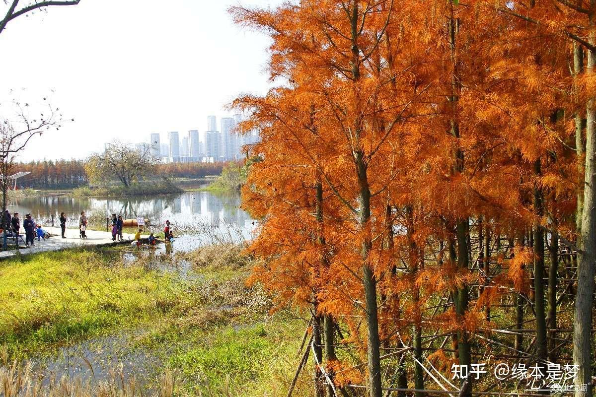 魚尾洲溼地公園