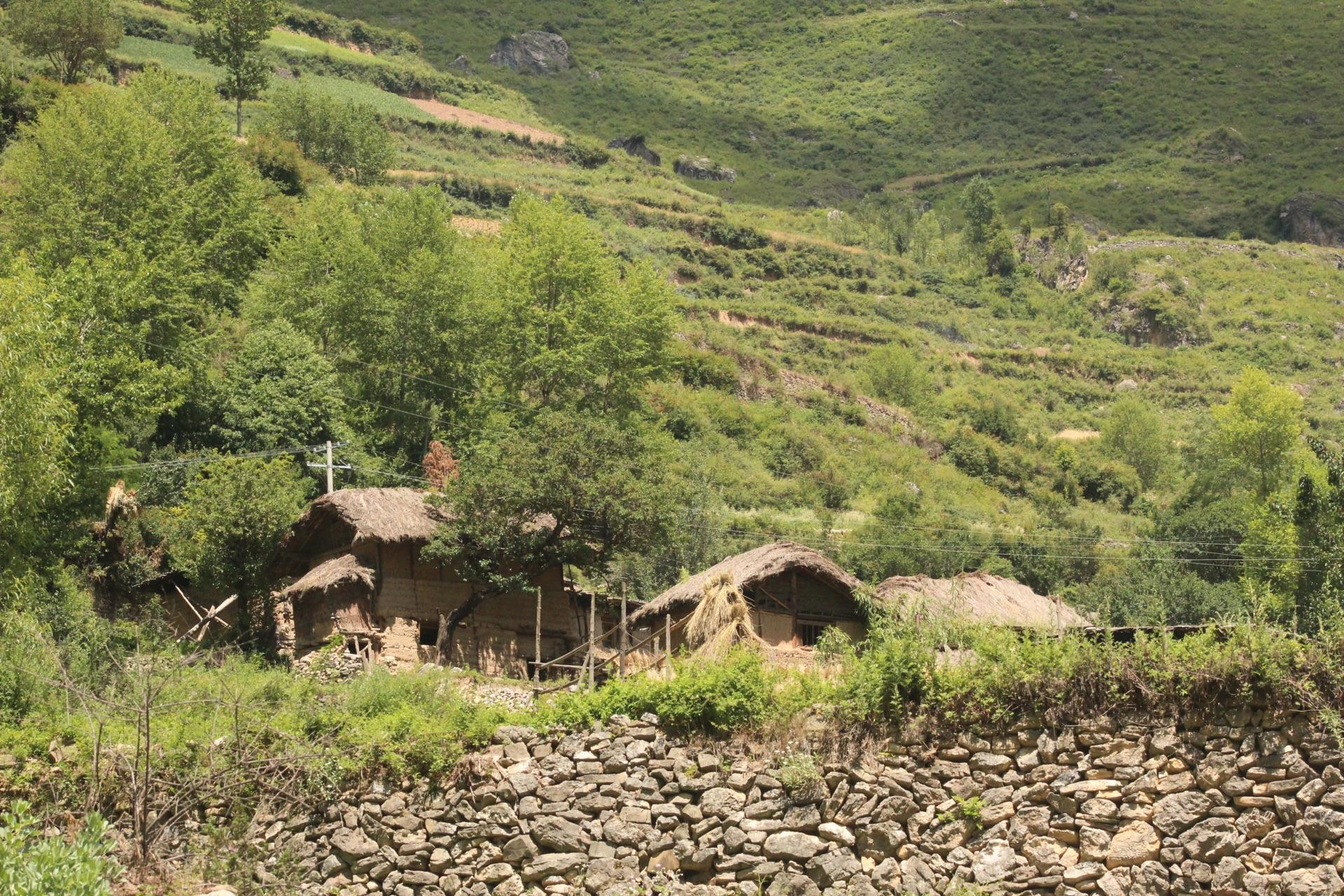 2016 年你所看到的中国农村大致是什么样子?