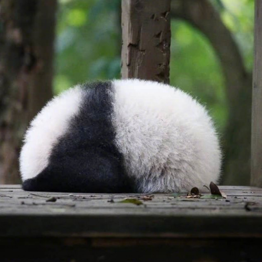 数据预处理——标准化/归一化(实例) 知乎