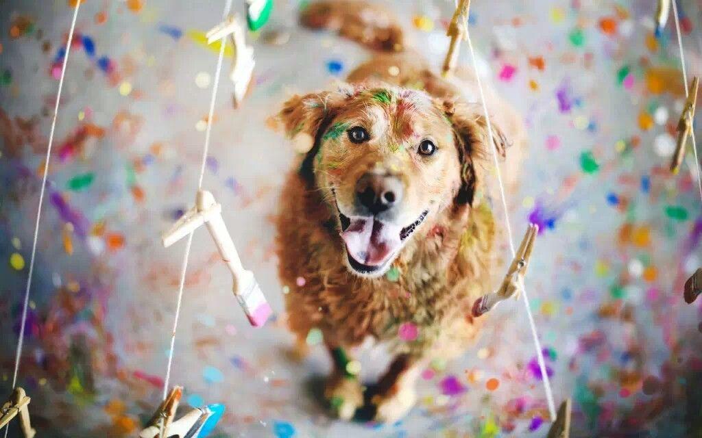 请问你可以一下分享圣诞气氛的壁纸嘛