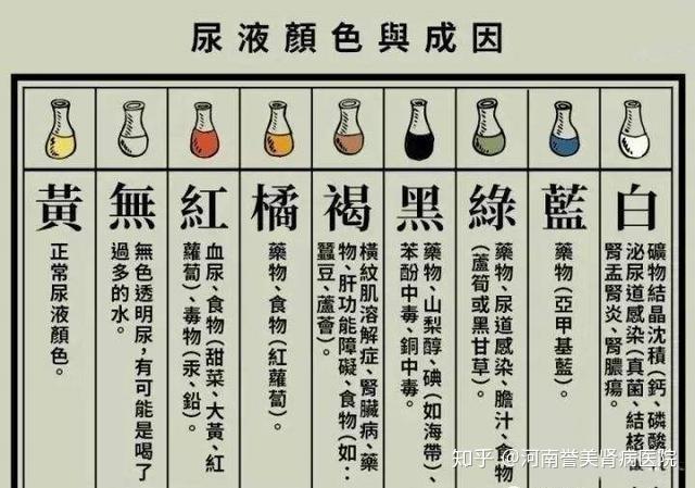 气味如果新鲜尿液出现刺鼻味(氨味),很有可能代表着肾脏不太健康;尿量