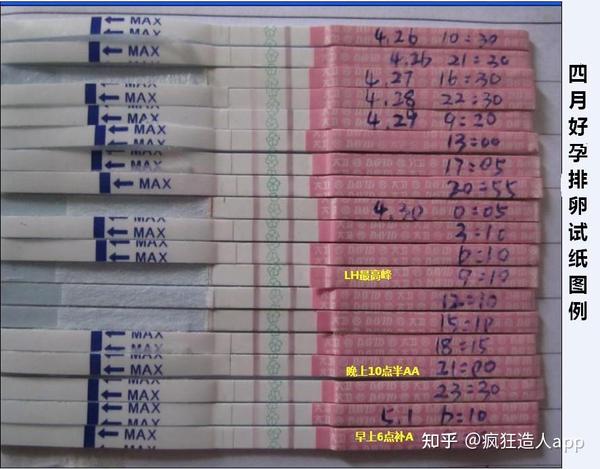 教你玩转排卵试纸,分辨白板、弱弱阳、弱阳、阳、强阳... - 知乎 教你玩转排卵试纸,分辨白板、弱弱阳、弱阳、阳、强阳... - 知乎