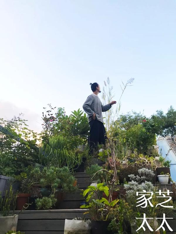 未来10年的网红植物 他家全集齐了 知乎