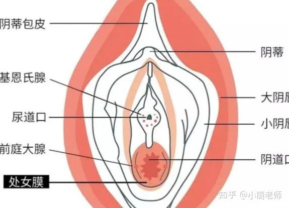 为什么第一次进不去