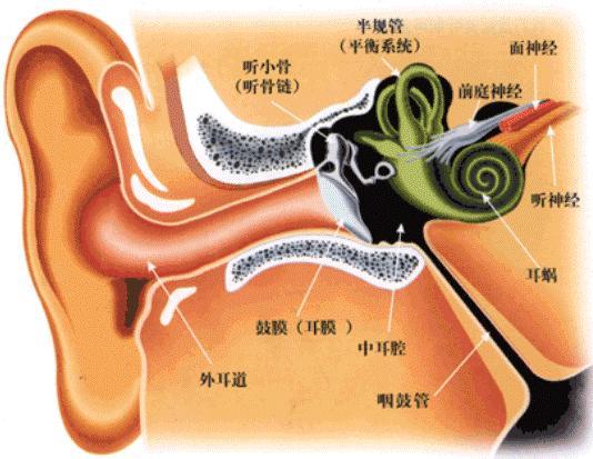 耳神经损伤怎么治疗