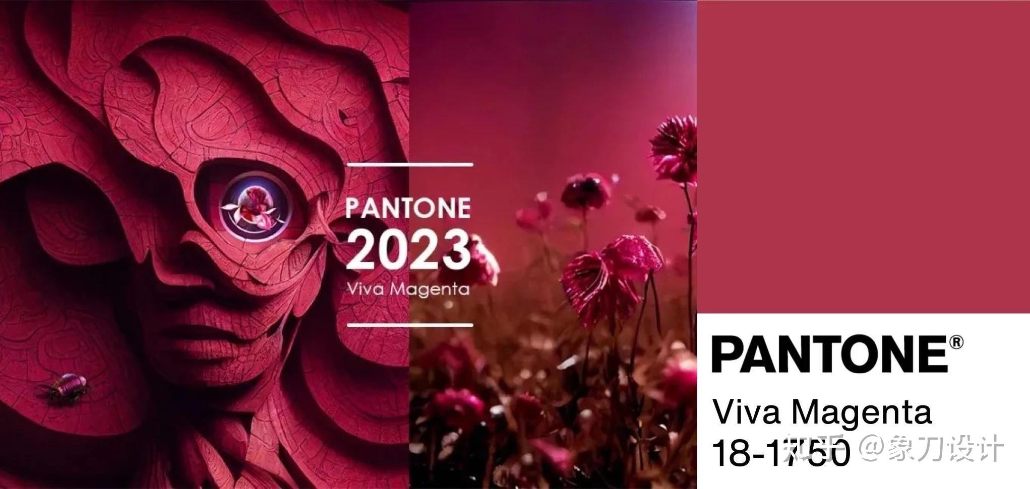 2023年度流行色公布 | 一起做"洋红"弄潮儿! - 知乎