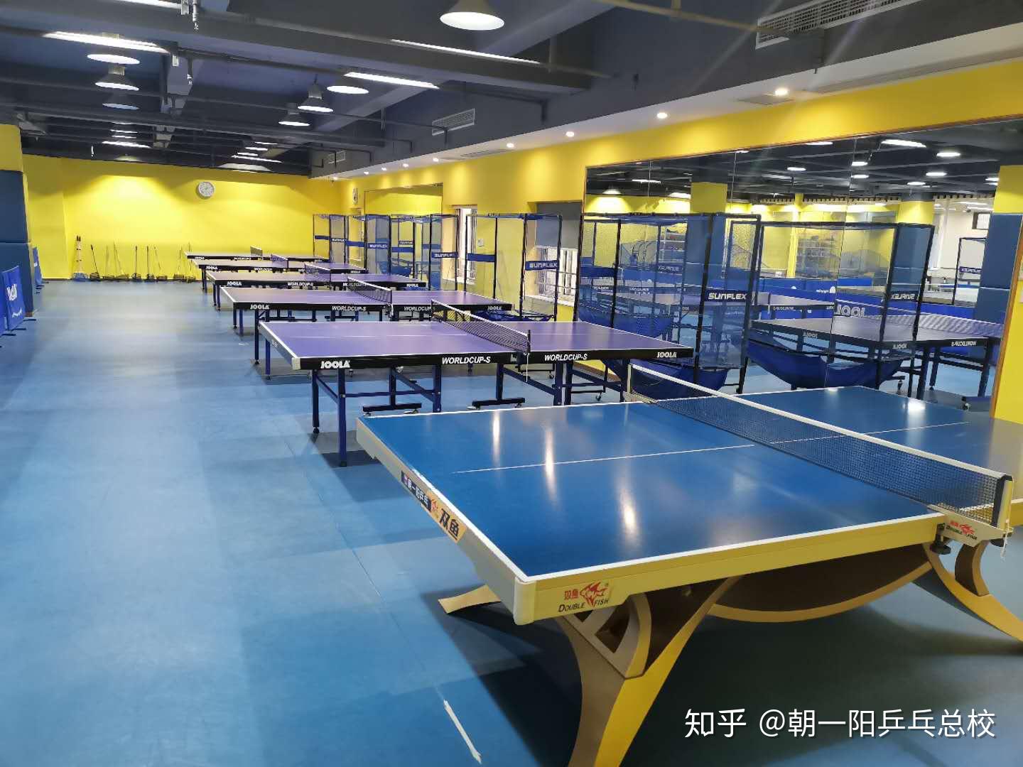 重庆九龙坡朝一阳乒乓打乒乓球对视力的好处