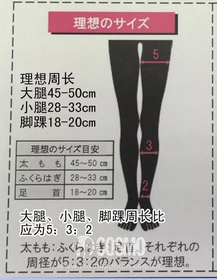 标准:大腿围45-50cm;小腿围28-33cm;脚踝围18-20cm,且这三部分的周长