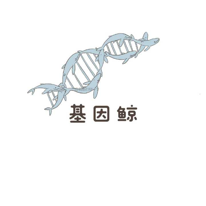 文案沙雕谐音句子,文案沙雕谐音句子大全