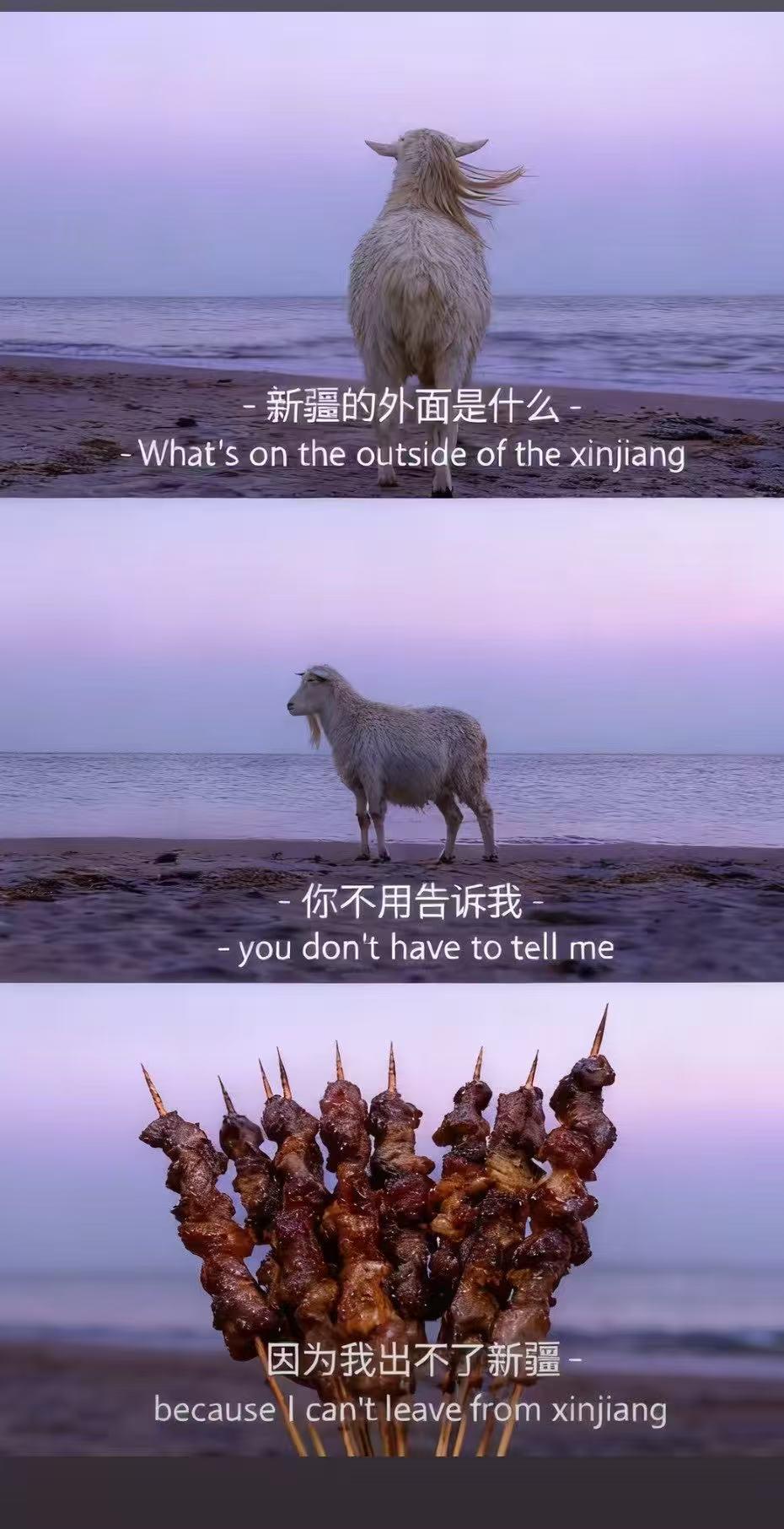最近网上流行的三宫格梗图怎么做? - 知乎