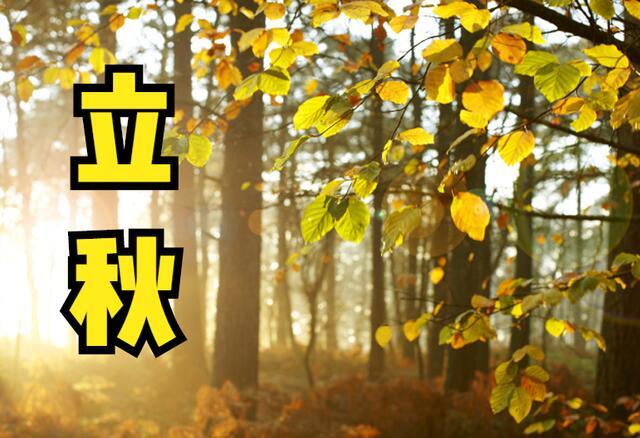 v2-711ebcbb35951c1fc4db69dace52c845_r.jpg
