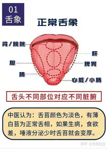 观六种常见舌像辩证自己体质的健康不少人照镜子时会发现自己的舌苔有