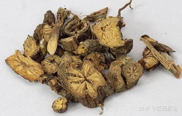 带你识别漏芦、禹州漏芦 - 知乎