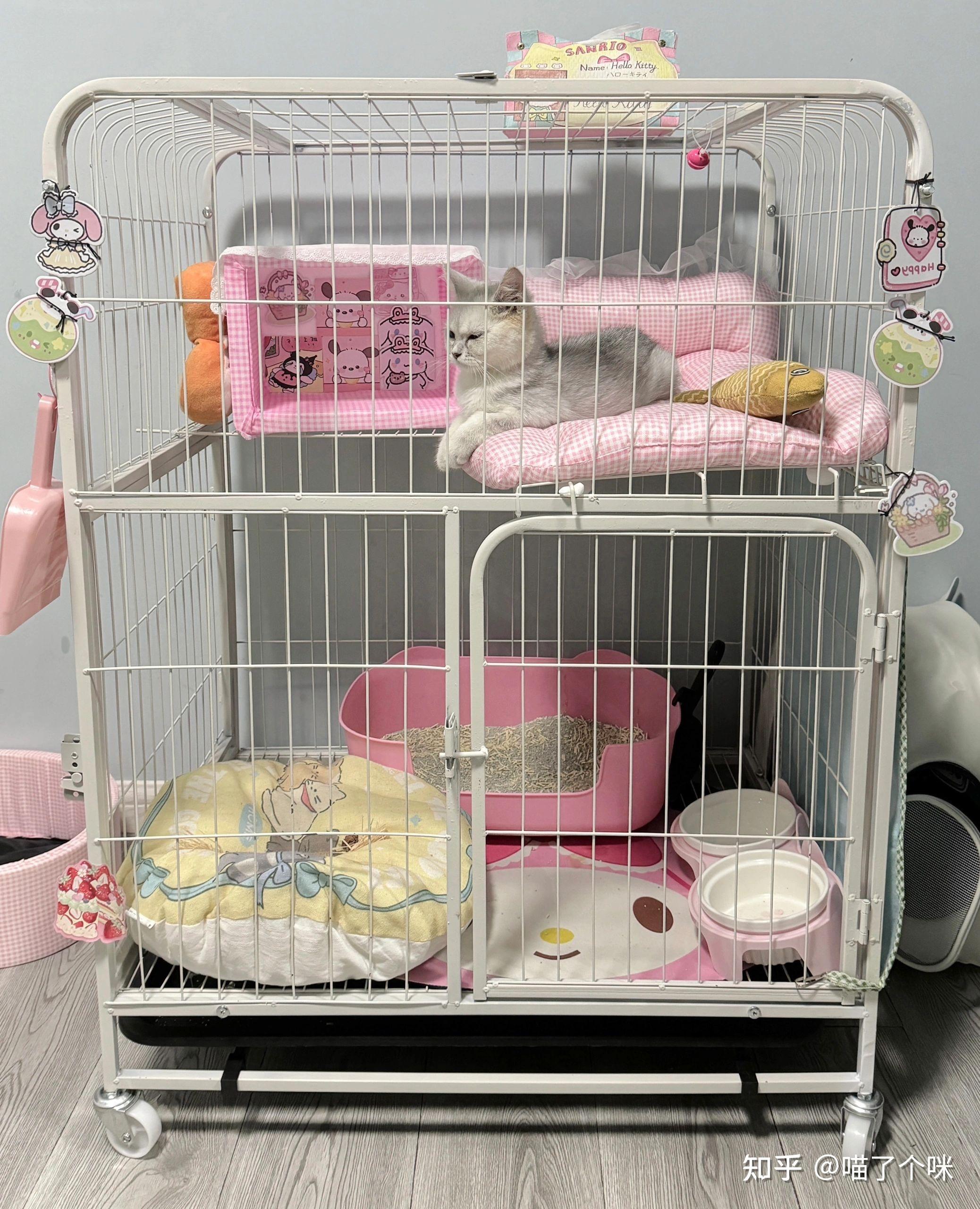 猫笼子有必要吗?是智商税吗? - 知乎