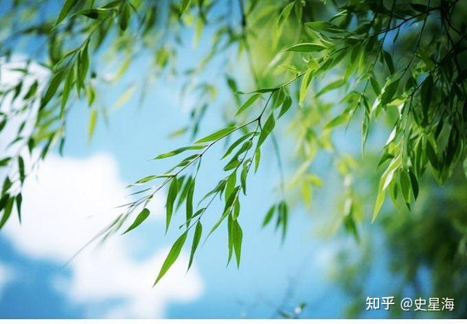 五九而至：天气回暖，春暖花开， - 知乎