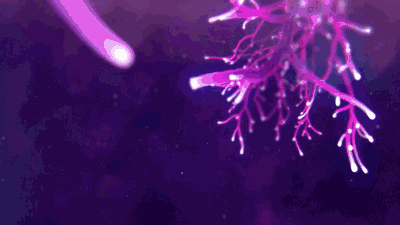 疯狂科学家锯开自己的头颅埋入电极窃听大脑曾创造了首个人脑机器