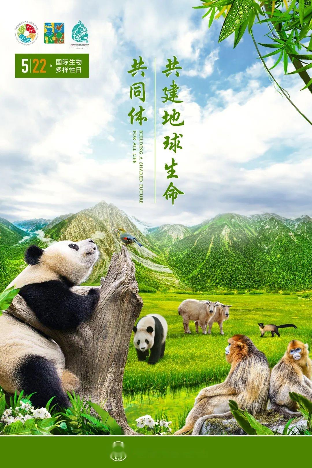 生态环境部发布2022年国际生物多样性日宣传海报