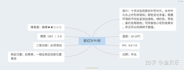 揭秘 113种水草的前世今生 知乎