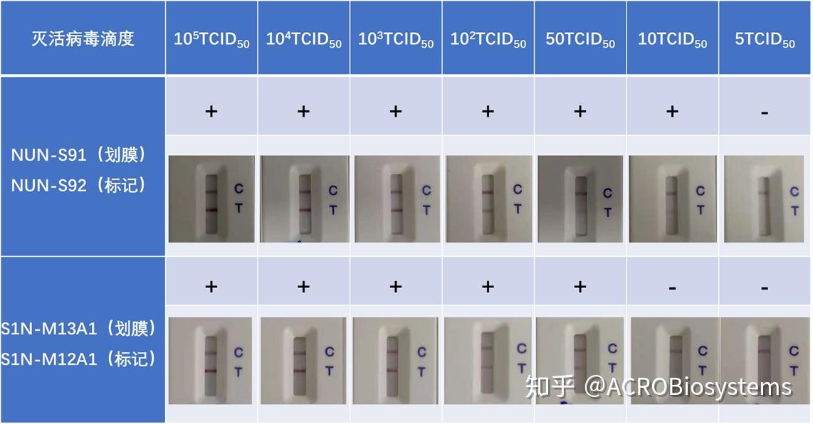 新冠抗原检测的高灵敏度原料来了!(内含试用装)