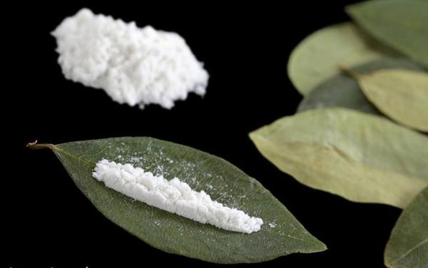 从麻醉剂到可口可乐配方可卡因是如何从药物变成毒品的