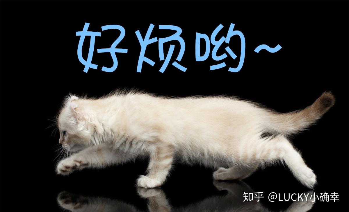 情景回放:白天夜晚,不曾消停