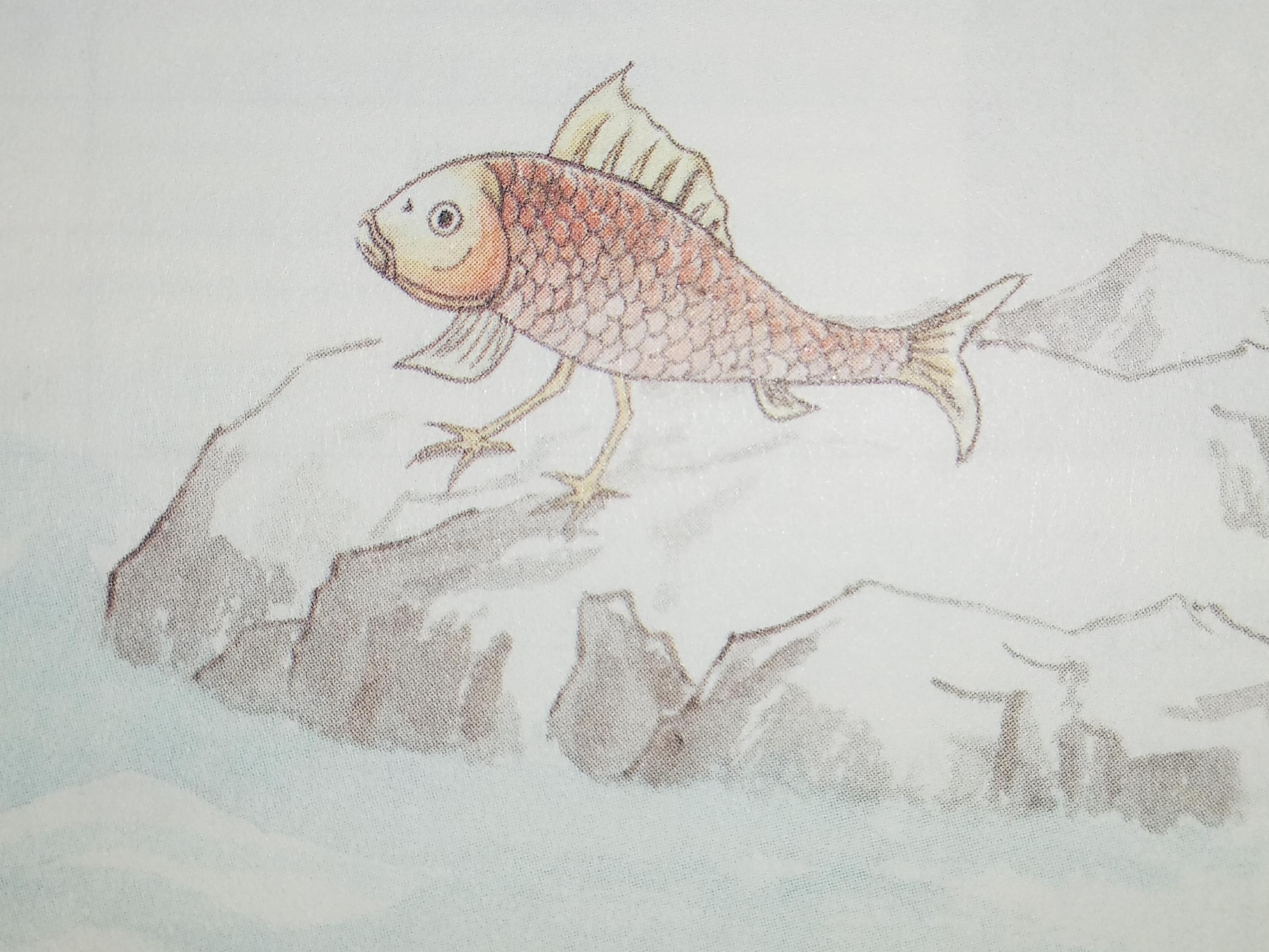 山海经鮯鮯鱼图片
