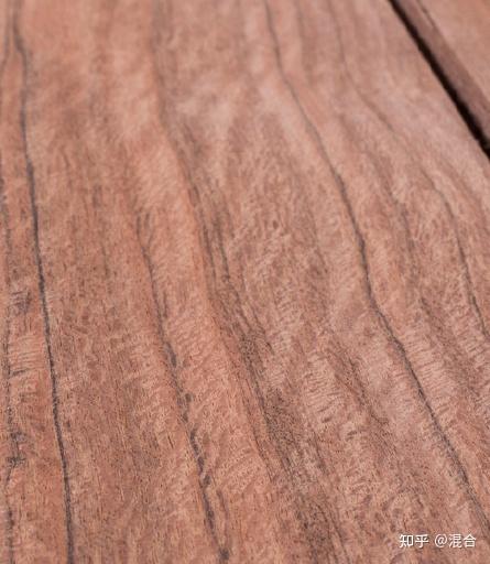 虎斑楝(南美胡桃木) - 知乎