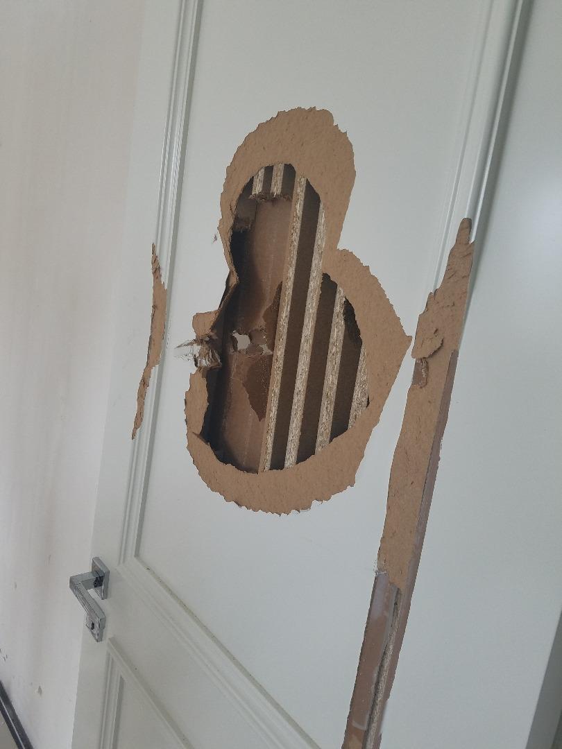 纸皮门冒充实木门慎买合肥精装房看看你入了几个坑