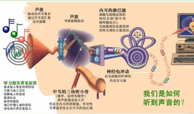 人工耳蜗和助听器区别图片