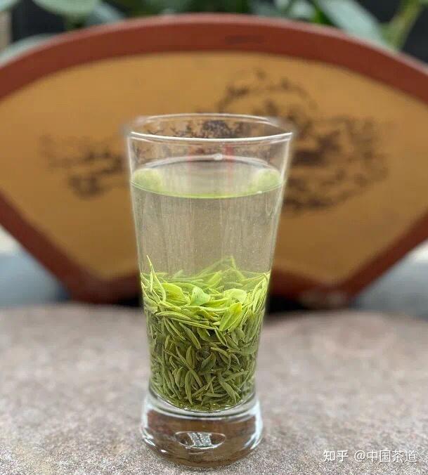 为什么我泡的信阳毛尖特别浑浊71