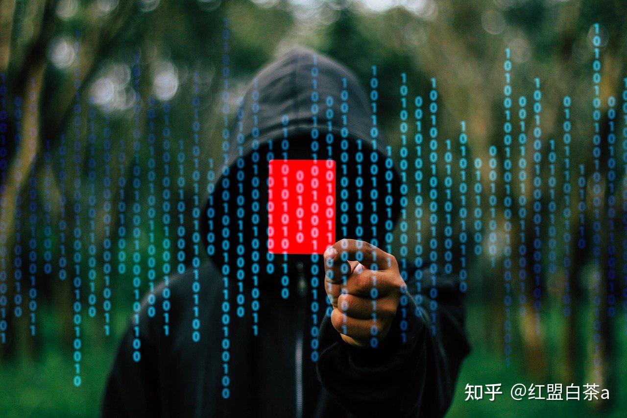 红客联盟是什么？真的值得我们拥护吗？ - 知乎