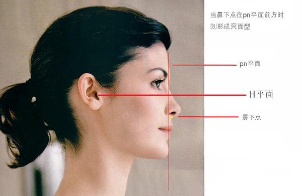 三步教你立体化判断自己的面型。 - 知乎