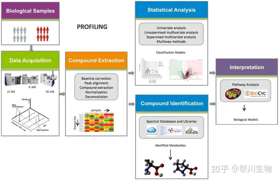 科普帖！代谢组学研究方法 - 知乎