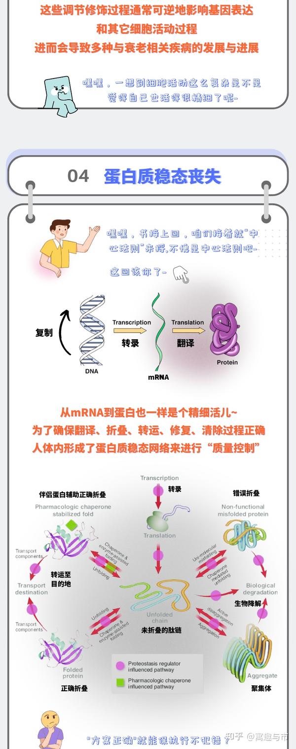 Cell文章阐述衰老有这12个标志(上篇) - 知乎
