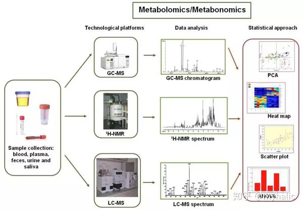 如何开展代谢组学实验（上篇） | 代谢组专题 - 知乎