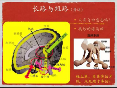 泰勒宁怎么戒?戒泰勒宁最好的方法 - 知乎