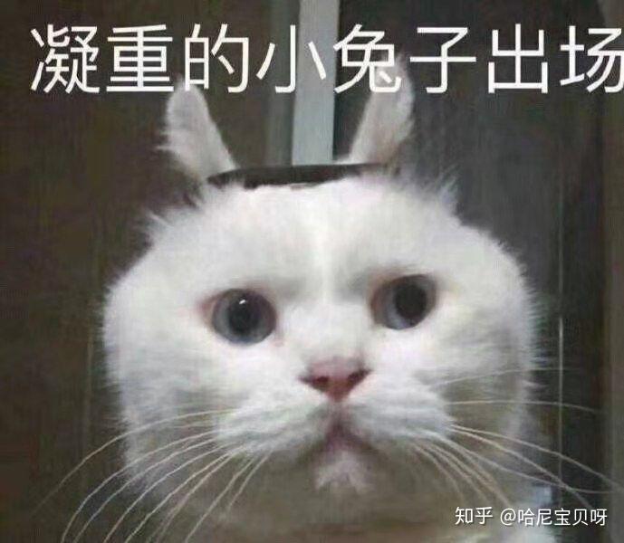 探探上真的有好女孩?