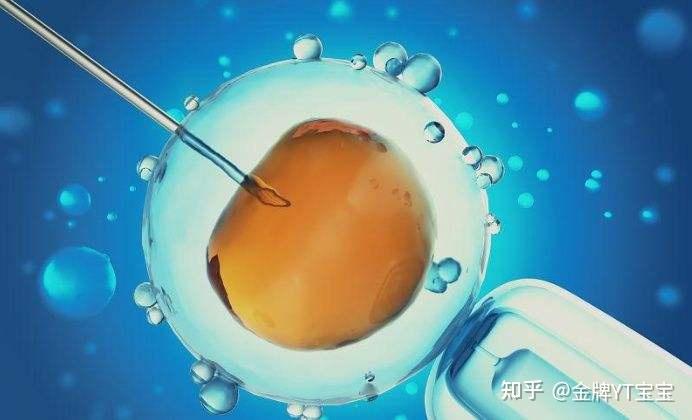 北京私立医院供卵试管需要多少钱？大概5-12万左右！
