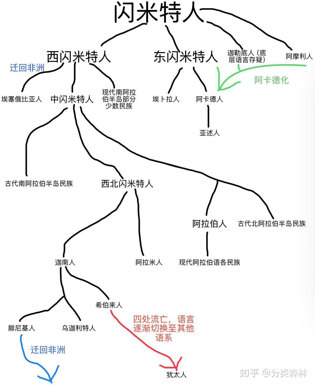 亚非语系分类表+闪米特人分支源流- 知乎