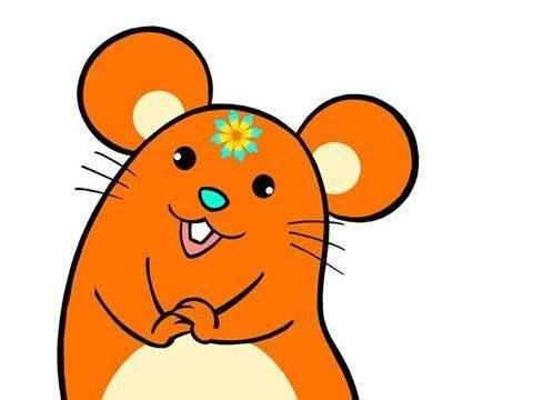 什么生肖排最后 v2-721ad29ffa22367686f6b04a5b59701d_r.jpg