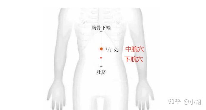 倪海厦针灸课笔记(4) 任脉之关元到巨阙和补泻手法 - 知乎