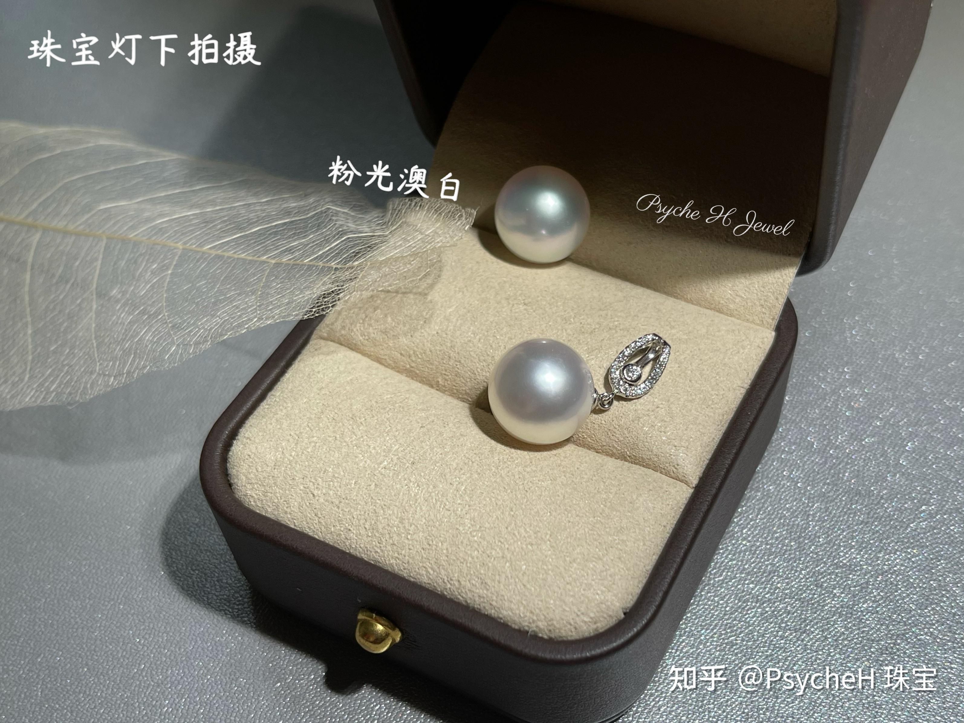 澳白——珍珠女王的故事 - 知乎