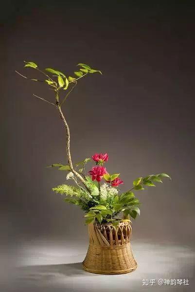 花吐症唯美图片 帅气男生花吐病图片 飞鸟症