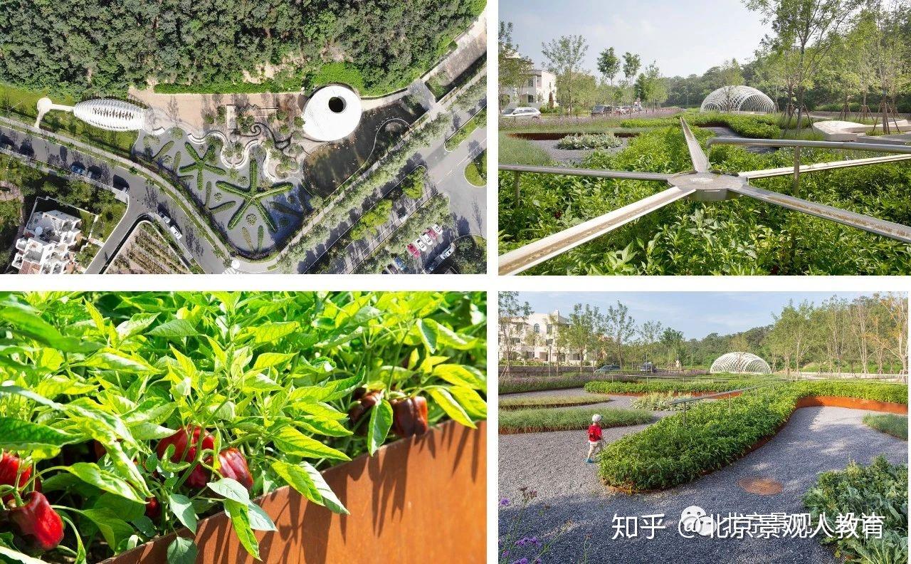 景观人原创设计干货人性化设计儿童活动场设计方法及快题应用