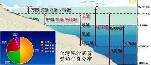 超过80%的蟹类生活在海里或部分生活史与海洋环境有关,例如方蟹,沙蟹