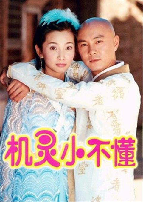 如何评价电视剧《机灵小不懂》?