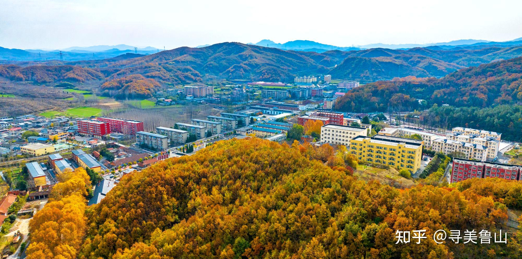 【河南鲁山:栽下梧桐树 斑斓一座城】 - 知乎