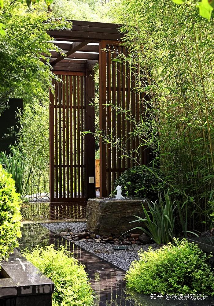 禅意花园里植物的那些事北方篇