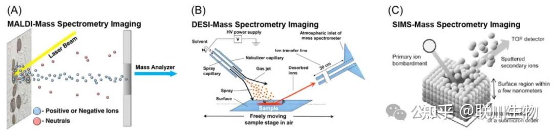 空间代谢组实验流程及注意事项 - 知乎