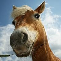 马同学高等数学